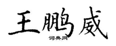 丁谦王鹏威楷书个性签名怎么写