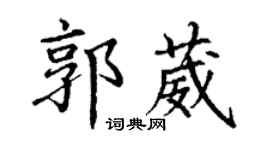 丁谦郭葳楷书个性签名怎么写