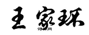 胡问遂王家环行书个性签名怎么写