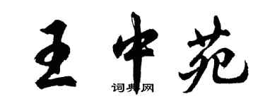 胡问遂王中苑行书个性签名怎么写