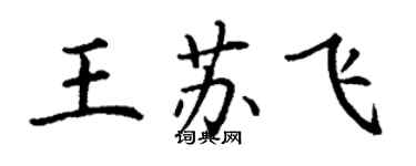 丁谦王苏飞楷书个性签名怎么写