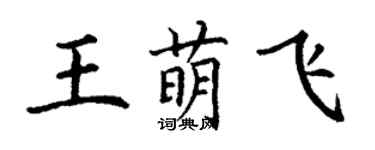 丁谦王萌飞楷书个性签名怎么写