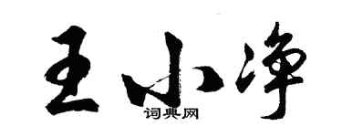 胡问遂王小净行书个性签名怎么写