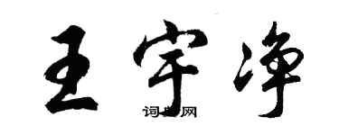 胡问遂王宇净行书个性签名怎么写