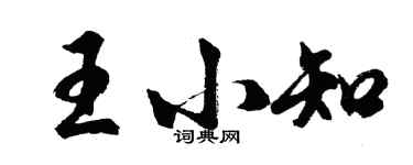 胡问遂王小知行书个性签名怎么写