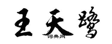 胡问遂王天鹭行书个性签名怎么写