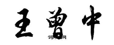 胡问遂王曾中行书个性签名怎么写