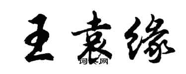 胡问遂王袁缘行书个性签名怎么写