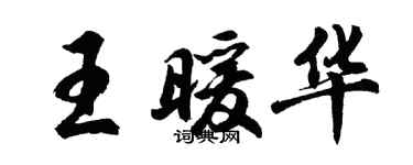 胡问遂王暖华行书个性签名怎么写