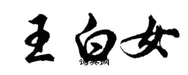胡问遂王白女行书个性签名怎么写