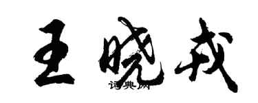 胡问遂王晓戎行书个性签名怎么写