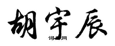 胡问遂胡宇辰行书个性签名怎么写