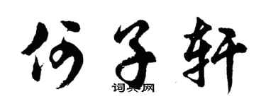 胡问遂何子轩行书个性签名怎么写