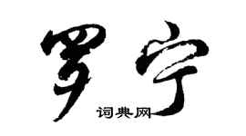 胡问遂罗宁行书个性签名怎么写