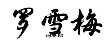 胡问遂罗雪梅行书个性签名怎么写