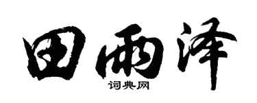 胡问遂田雨泽行书个性签名怎么写
