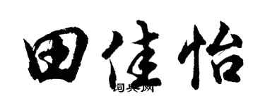 胡问遂田佳怡行书个性签名怎么写