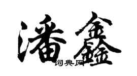 胡问遂潘鑫行书个性签名怎么写