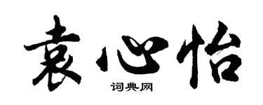 胡问遂袁心怡行书个性签名怎么写