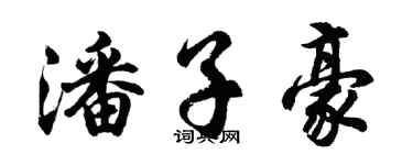 胡问遂潘子豪行书个性签名怎么写