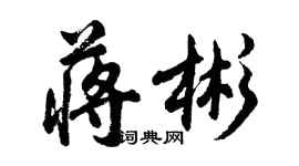 胡问遂蒋彬行书个性签名怎么写
