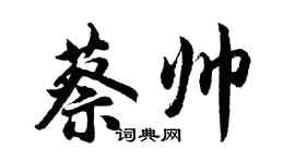 胡问遂蔡帅行书个性签名怎么写