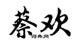 胡问遂蔡欢行书个性签名怎么写