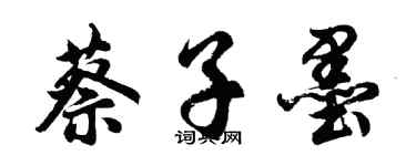 胡问遂蔡子墨行书个性签名怎么写
