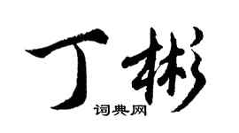 胡问遂丁彬行书个性签名怎么写
