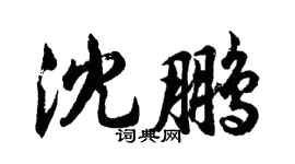 胡问遂沈鹏行书个性签名怎么写