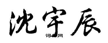 胡问遂沈宇辰行书个性签名怎么写