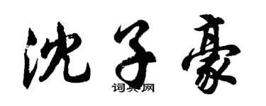 胡问遂沈子豪行书个性签名怎么写