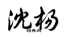胡问遂沈杨行书个性签名怎么写