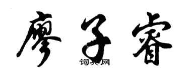 胡问遂廖子睿行书个性签名怎么写
