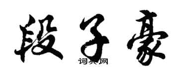 胡问遂段子豪行书个性签名怎么写