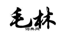 胡问遂毛林行书个性签名怎么写