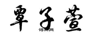 胡问遂覃子萱行书个性签名怎么写