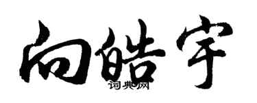 胡问遂向皓宇行书个性签名怎么写