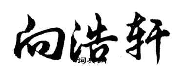 胡问遂向浩轩行书个性签名怎么写