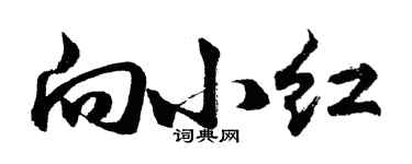 胡问遂向小红行书个性签名怎么写