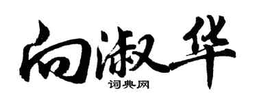 胡问遂向淑华行书个性签名怎么写
