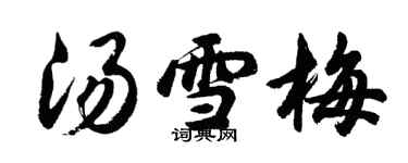 胡问遂汤雪梅行书个性签名怎么写