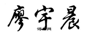 胡问遂廖宇晨行书个性签名怎么写