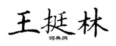 丁谦王挺林楷书个性签名怎么写