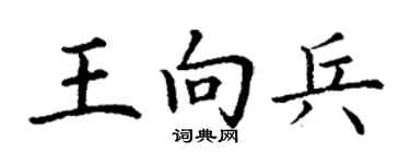 丁谦王向兵楷书个性签名怎么写