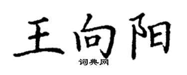 丁谦王向阳楷书个性签名怎么写