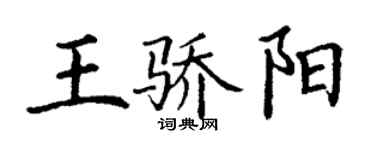 丁谦王骄阳楷书个性签名怎么写