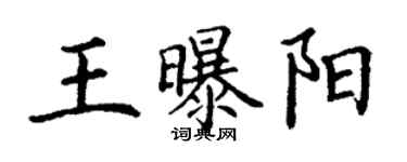 丁谦王曝阳楷书个性签名怎么写