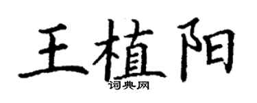 丁谦王植阳楷书个性签名怎么写