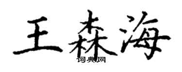 丁谦王森海楷书个性签名怎么写